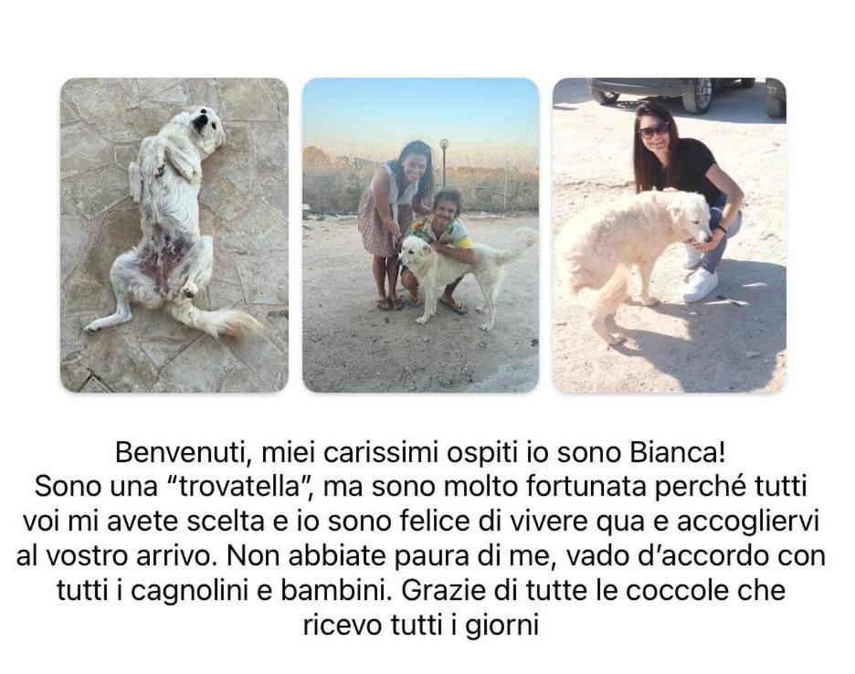 Cozzo Spadaro B&B Portopalo Di Capo Passero Экстерьер фото